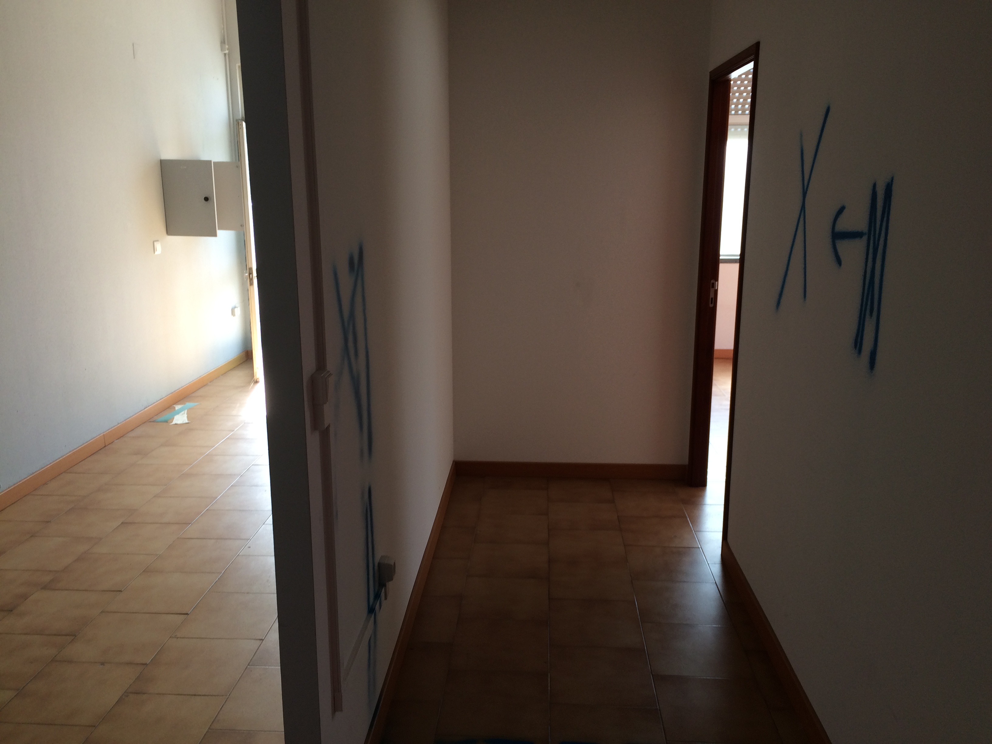 Remodelacao-centro-veterinario-pombal